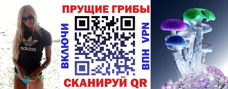 Купить закладки  Иноземцево  Галлюциногенные грибы Cubensis 